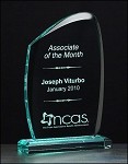 Wave Acrylic Award 4-1/4