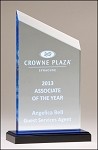 Zenith Acrylic Award 4-1/2