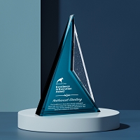 Endurance Award 11-1/2