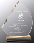 GOLD REFLECTION SAIL Trophy