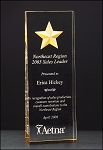 Constellation Acrylic Award - with Etched Gold Star 2-7/8