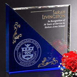 Acclaim Award 5