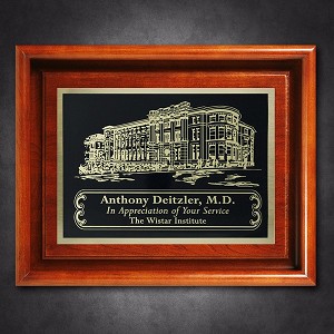 Americana Shadow Box without Glass 10