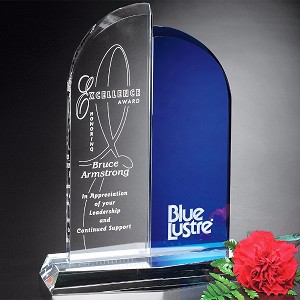 Brigadier Award 11