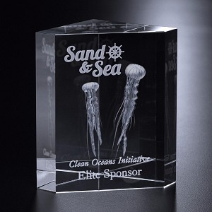 Caledon Award 4-1/2