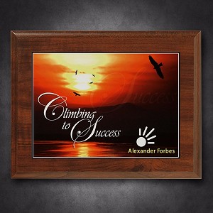Econo Cherry Plaque 7