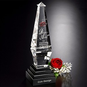 Epitome Award 10-1/2