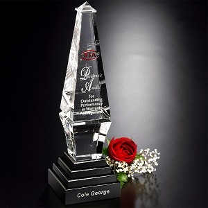 Epitome Award 12