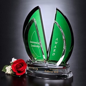 Flight Award 9