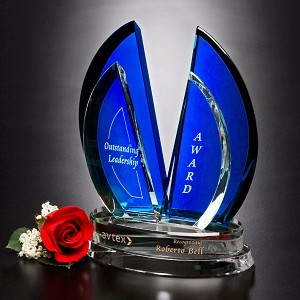 Flight Indigo Award 8