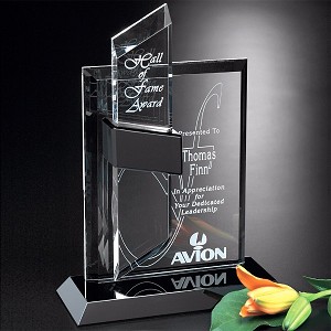 Intrepid Award 11-1/2