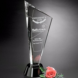 Invincible Award 10