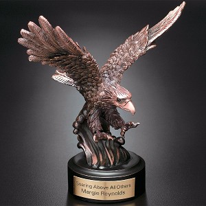 Landing Eagle 7