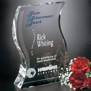 Malibu Award 7-1/2