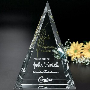 Palisade Award 8