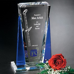 Sentinel Award 10-1/2