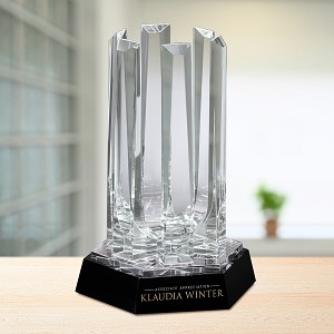 Artistry Award 13-1/4