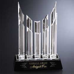 Vestige Award 14-1/4