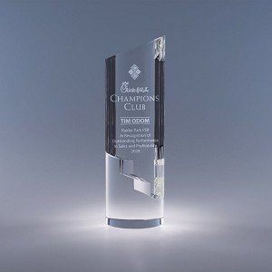 Steps To Success TREK AWARD